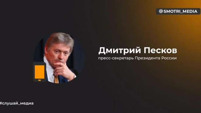 Песков: атаки беспилотников на Москву подтверждают сущность киевского режима