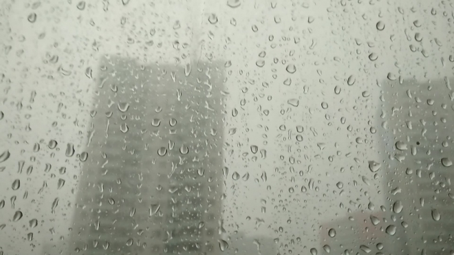 Мокрый город: в четверг вечером в Петербург вернутся дождь и гроза