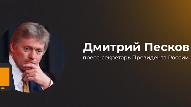 Путин постоянно обсуждает с правительством ситуацию с ценами, заявил Песков