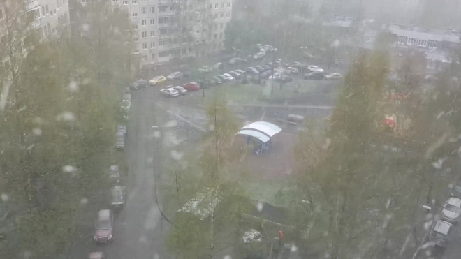 Петербург и Ленобласть накрыло мокрым снегом и дождем