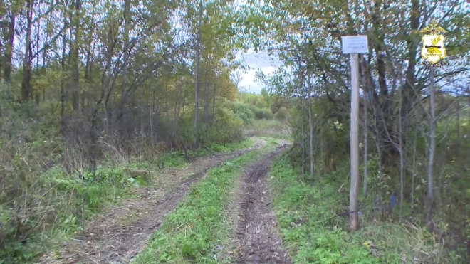 Полиция в Смоленской области установила нелегального лесоруба