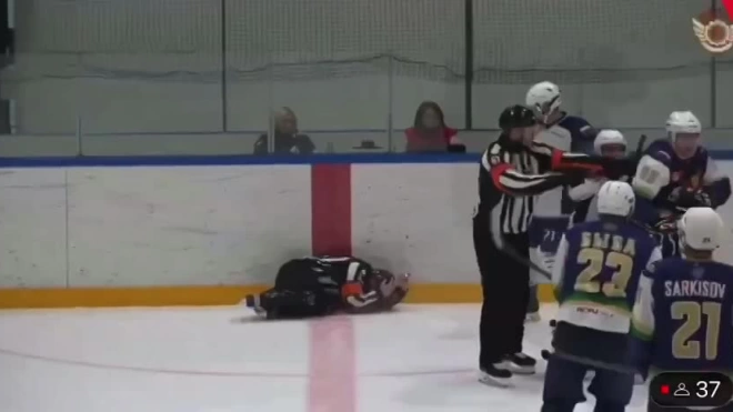 Хоккеист избил арбитра клюшкой в матче любительской лиги в Москве