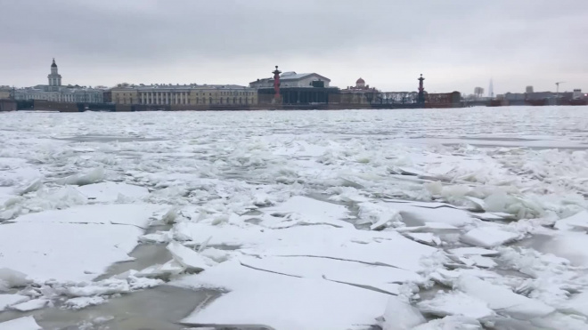 Петербуржцы делятся видео Невы, которую забил лед