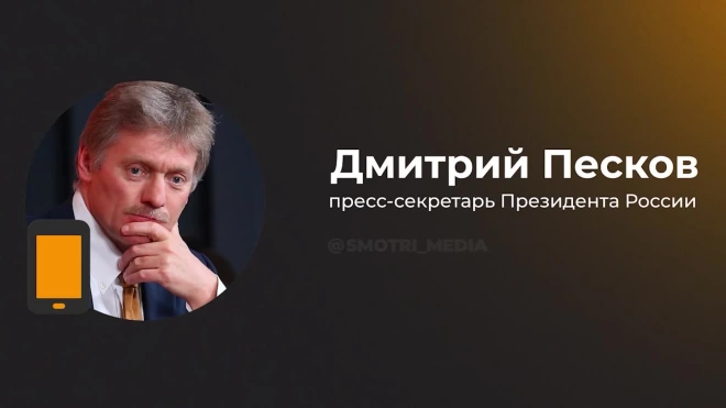 Песков: Москва не согласна с высказываниями Пашиняна