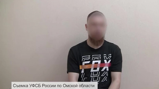 В Омской области задержали проукраинского диверсанта