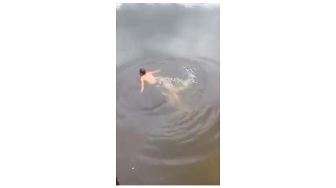 Видео: в Индонезии крокодил утащил под воду шамана