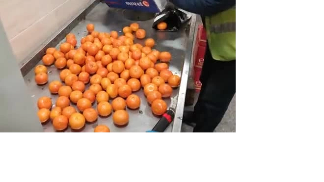 В Петербург с начала года привезли почти 115 тысяч тонн мандаринов