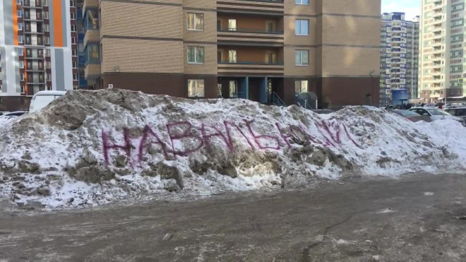 Коммунальщики поленились убрать Навального с грязного сугроба 
