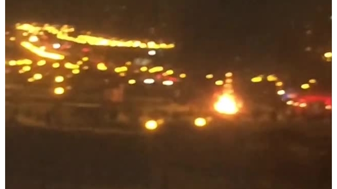 "Ёлочка, гори!" В Московском парке сгорела Новогодняя елка (видео)