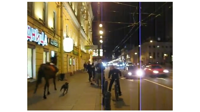 Сумасшедшая лошадь напугала туристов на Невском