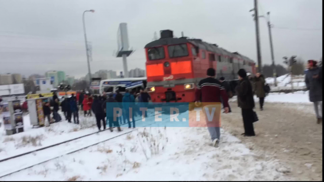 Видео: на Дыбенко поезд столкнулся с пассажирской маршруткой