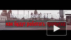 Минкомсвязи объяснил, как будут работать рабочие пропуска