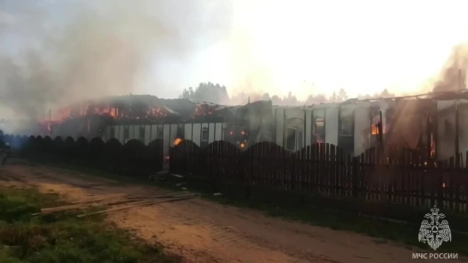 Во Всеволожске горела конюшня