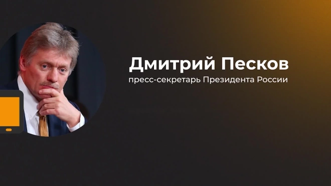 Песков заявил, что уникальность "Кинжалов" подтверждена специалистами