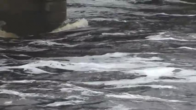 Жители Амурской области публикуют видео небывалого наводнения