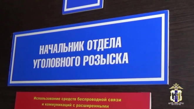 Полиция Хабаровска задержала мужчину за кражу денег из автомобилей