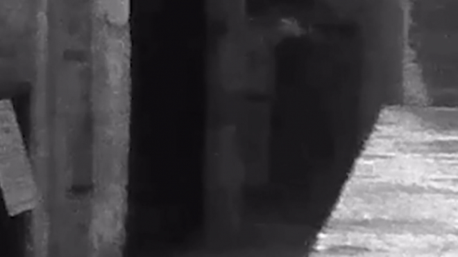 Призрак казненного убийцы попал на видео