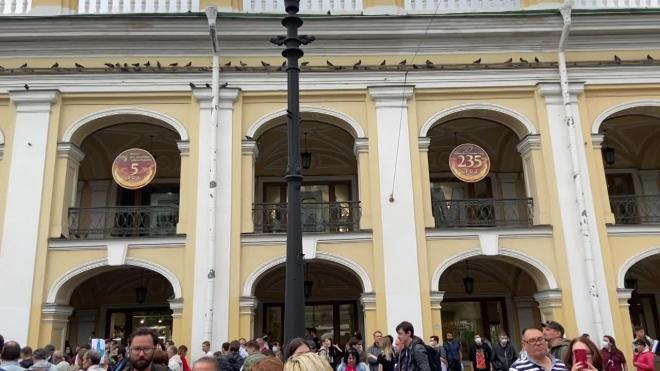 У Гостиного двора собрались участники акции "Кормим голубей"
