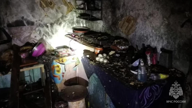 В Приамурье при пожаре в доме погибла 11-летняя девочка