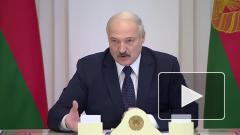 Жириновский призвал Лукашенко сняться с выборов