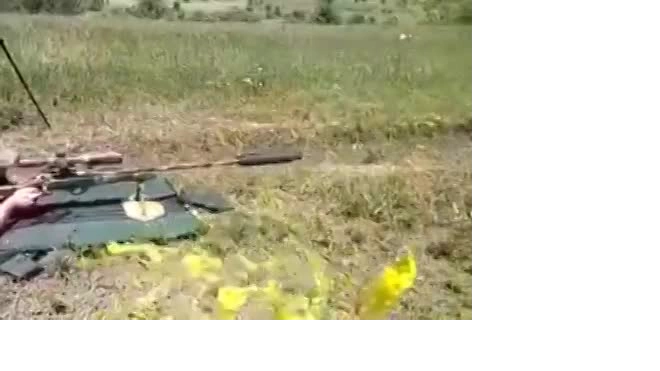 На Украине впервые применили винтовку "Сумрак"