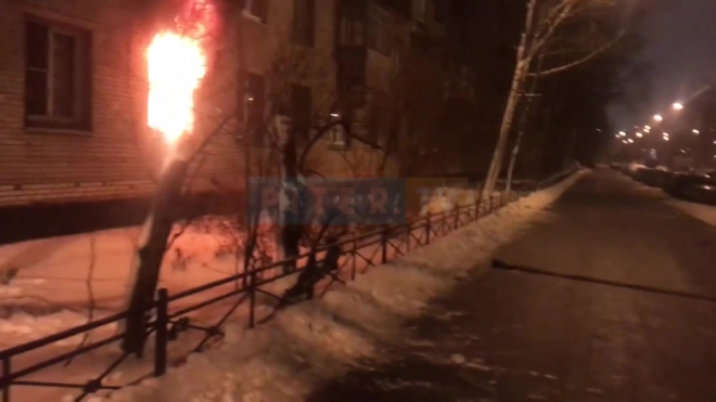Появилось видео пожара на проспекте Народного Ополчения