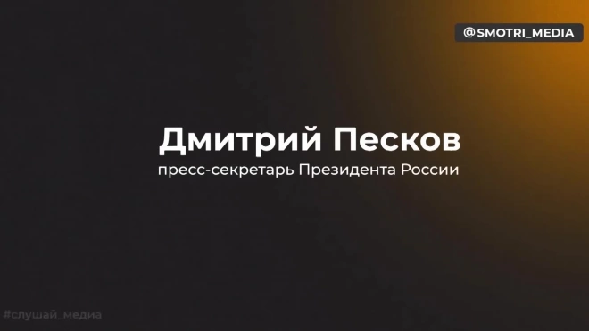 Песков: не воспринимаем требования Борреля о расследовании смерти Навального*