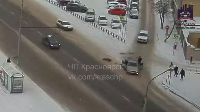 В центре Красноярска иномарка сбила бабушку на полной скорости
