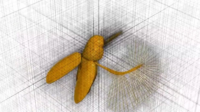 Биологам удалось заснять на видео сверхбыстрый полет микронасекомых 