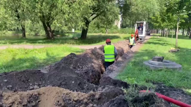 В парке Сосновка стартовал завершающий этап реконструкции освещения