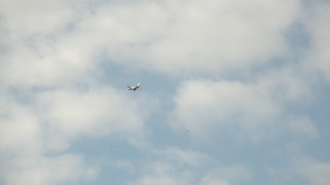 В аэропорту Риги приземлился самолет "Аэрофлота", который подал сигнал бедствия