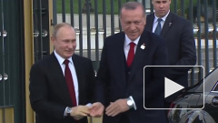 Путин приедет в Турцию на открытие "Турецкого потока"