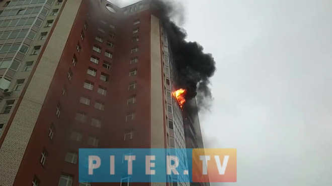 В Петербурге загорелась квартира на Новоколомяжском проспекте