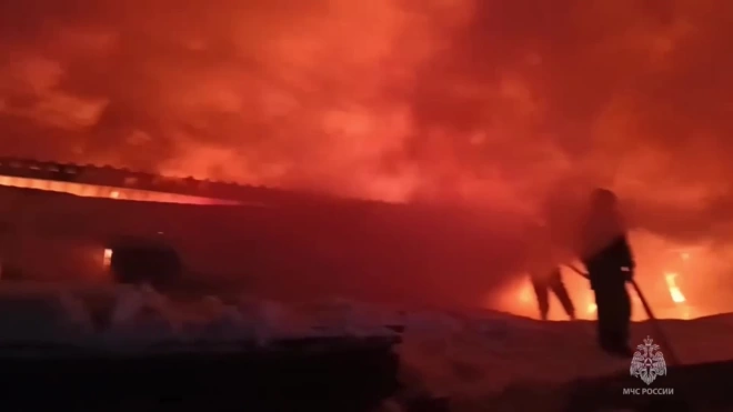 Пожар на мебельной фабрике под Челябинском потушили спустя сутки