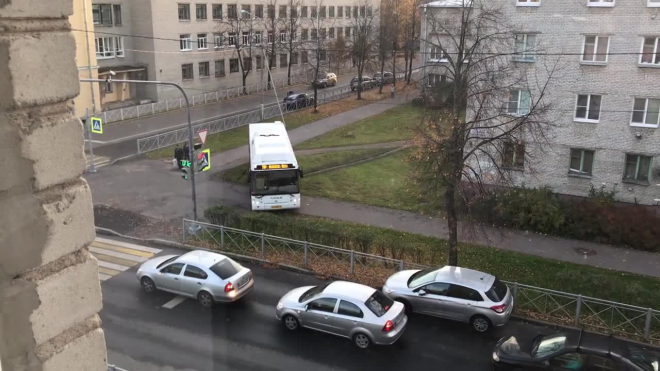 Видео: в Ломоносове водитель автобуса прокатил пассажиров по тротуару