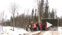 "Лес для будущего". В Подпорожье прошел форум лесопромышленного комплекса