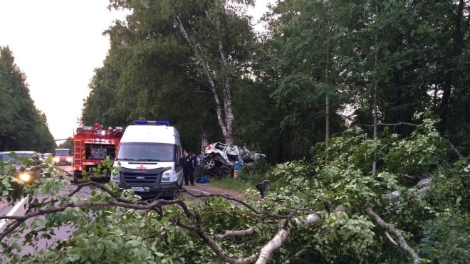 Смертельное ДТП на Дороге жизни: четверо петербуржцев скончались, влетев в дерево на Volvo