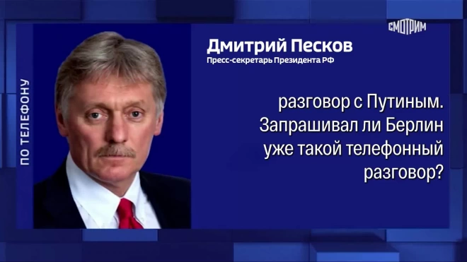 Берлин не запрашивал телефонный разговор у Москвы, заявили в Кремле