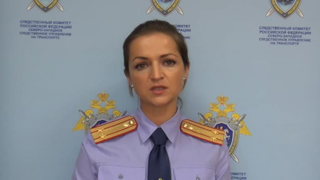 Подозреваемый по делу о падении ребенка в Пулково отправлен под домашний арест