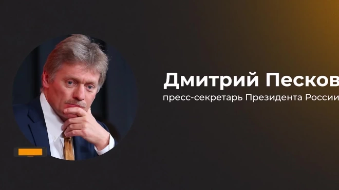 Песков не стал комментировать приговор Никите Журавелю