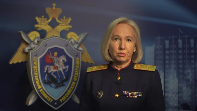 Следователи СК России расследуют факты падения беспилотных летательных аппаратов на здания в Москве
