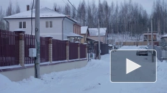 Петербуржцы жалуются на кражи в домах по соседству со стройками в СНТ