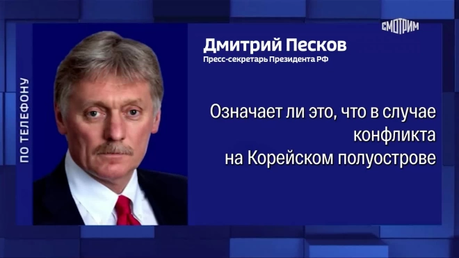 Песков: договор между РФ и КНДР подразумевает сотрудничество во всех сферах