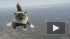Шведская страховая компания прославилась рекламой про котов-парашютистов