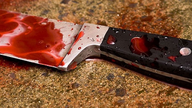 Петербурженка ударила мать ножом около сотни раз ради наследства