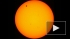 Земляне могли наблюдать прохождение Венеры через диск Солнца