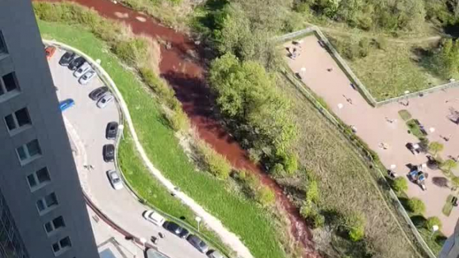 Видео: в Петербурге обнаружили кровавую реку