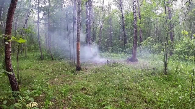 СМИ: На Синявинских высотах после взрыва образовалась воронка два на два метра. Погиб человек