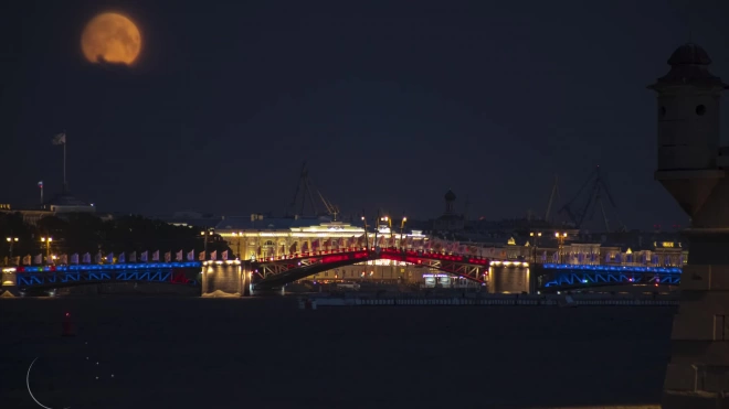 Разведенный Дворцовый и Благовещенский мосты можно будет увидеть 23 июня