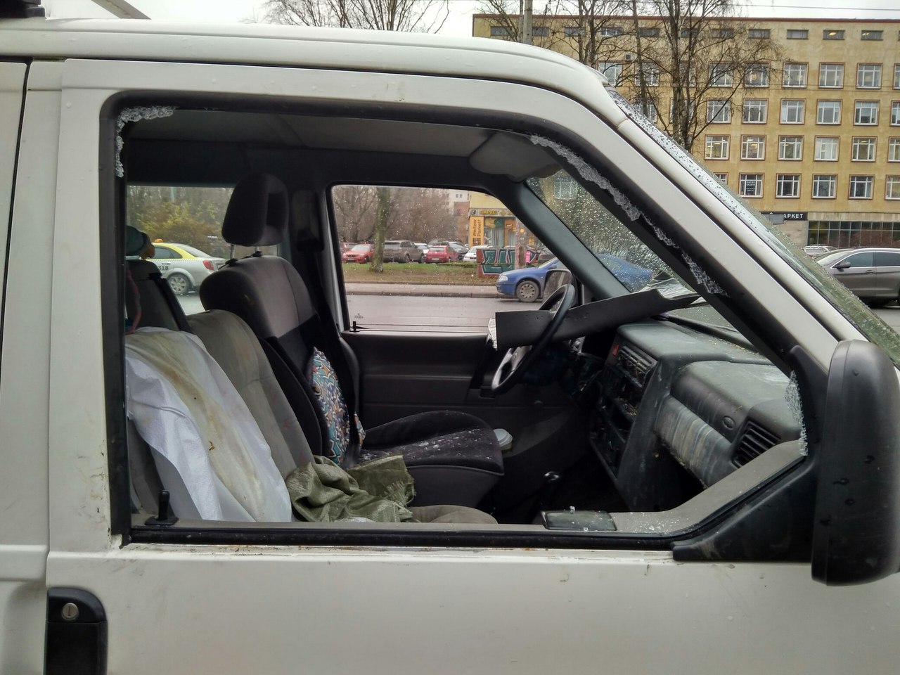 В Петербурге из машины похитили домашнюю ворону Кару